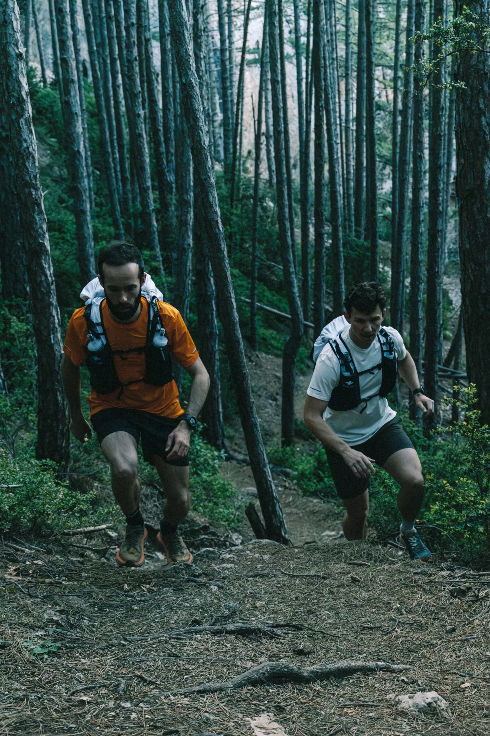 Viva Verdon — itinérance en trail dans le Verdon 4